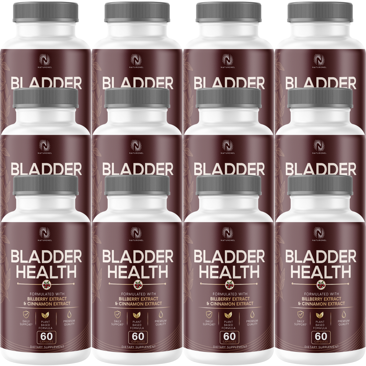 Bladder Health Supplement – Advanced Urinary Tract & Daily Wellness Formula with Saw Palmetto, Pygeum, Uva Ursi, Pumpkin Seed, Bilberry, Cranberry Blend, Vitamins & Botanicals