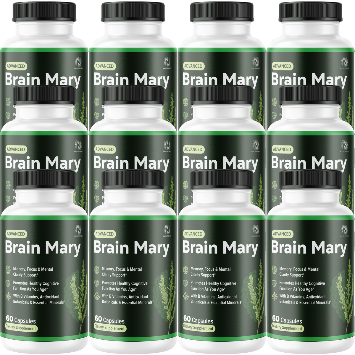 Brain Mary Advanced Memory & Focus Supplement – Cognitive Support Formula with DMAE, Bacopa, Phosphatidylserine, Green Tea Extract, Vitamins & Minerals – Mental Clarity & Brain Health