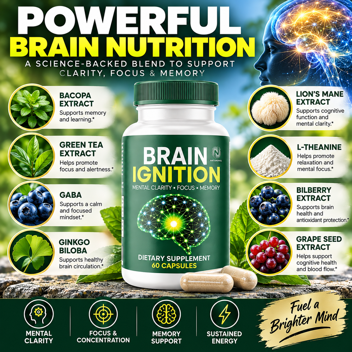 Brain Ignition Nootropic Supplement (2 Pack) – Mental Clarity, Cognitive Function, Focus & Memory Support