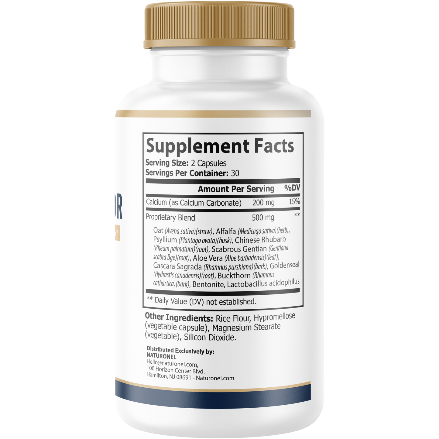 Motility Activator (6 Pack) Gut Health Supplement – Supports GI Motility, Digestive Regularity, Nutrient Assimilation & Intestinal Health with Probiotic and Botanicals
