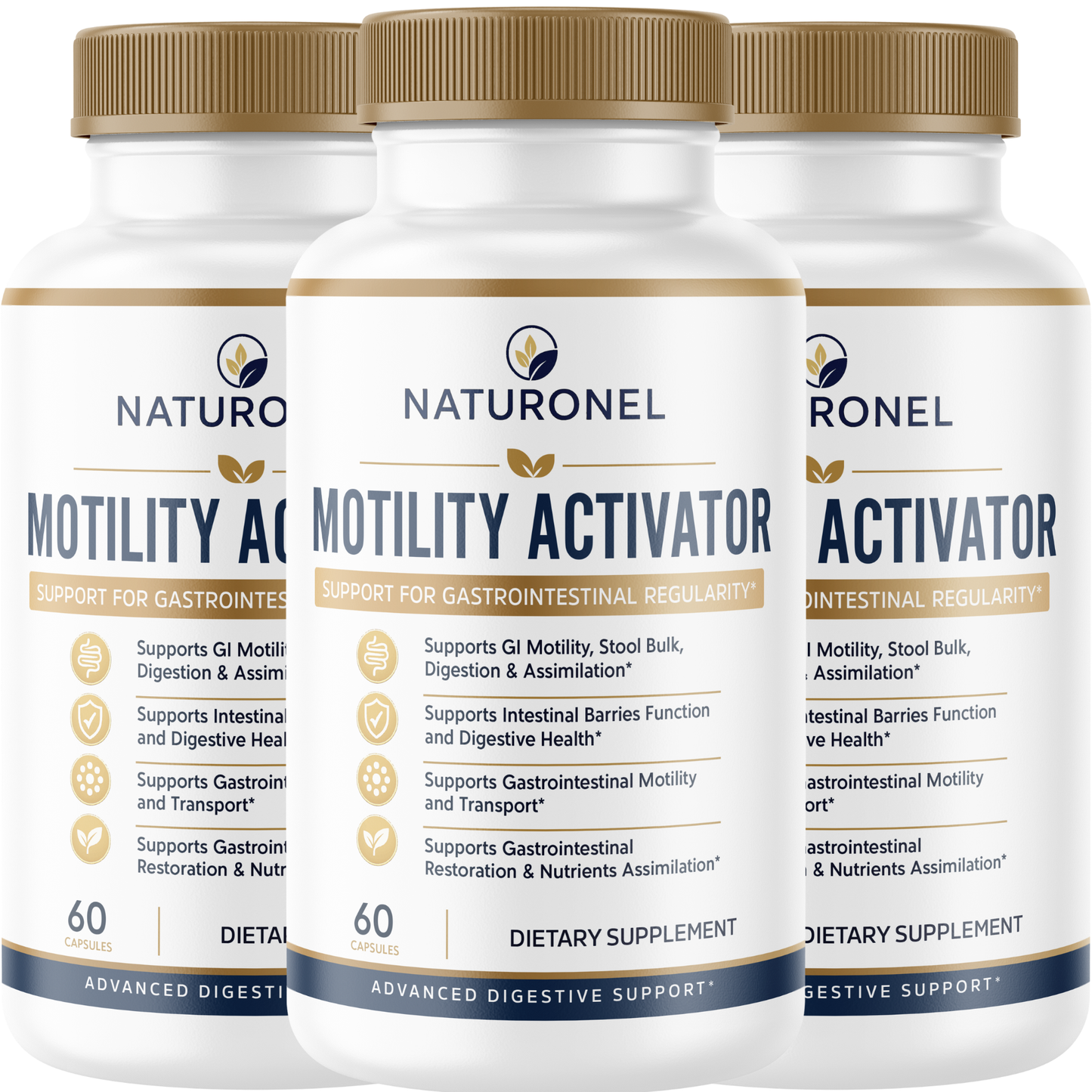 Motility Activator (3 Pack) Gut Health Supplement – Supports GI Motility, Digestive Regularity, Nutrient Assimilation & Intestinal Health with Probiotic and Botanicals