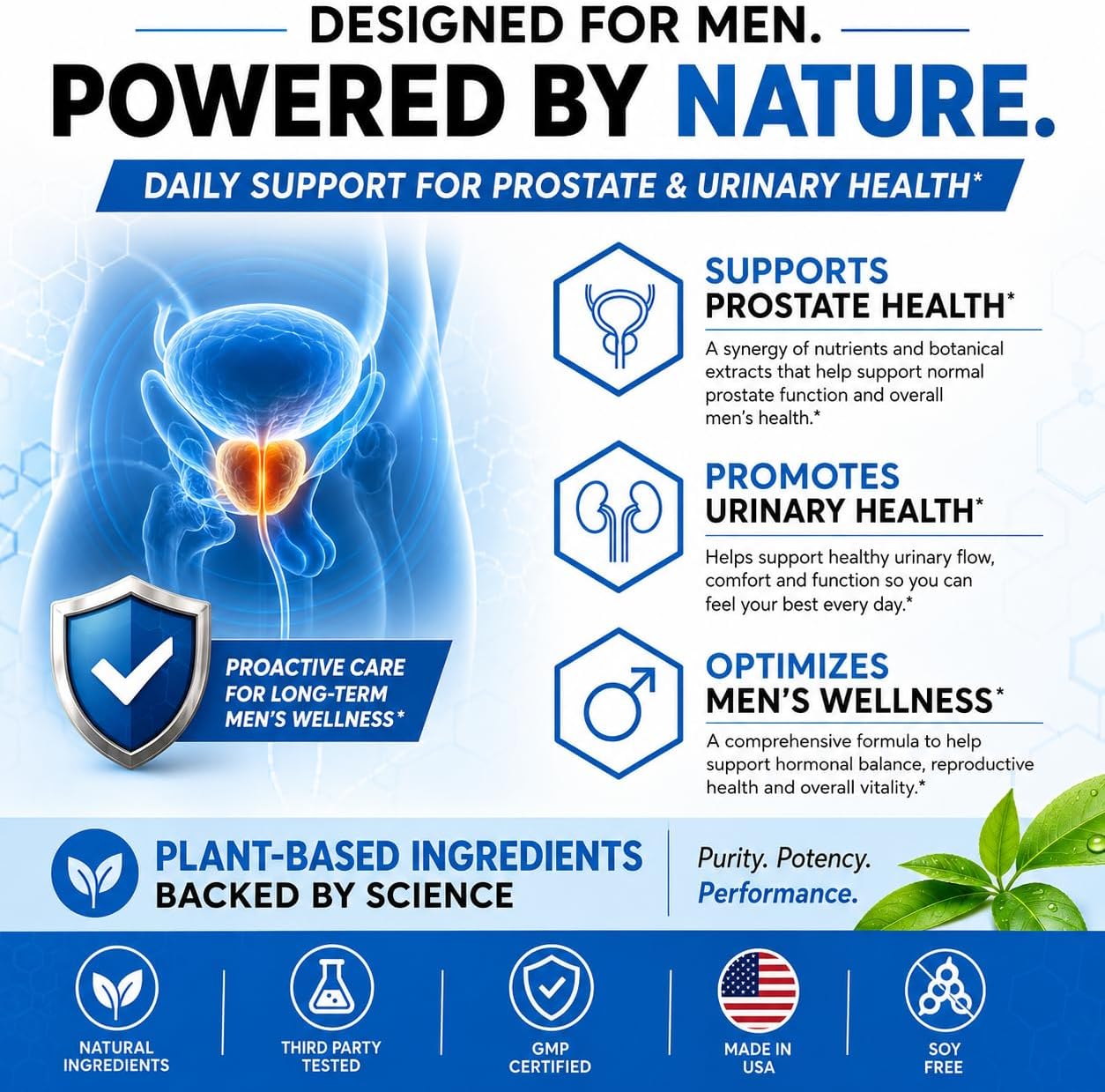 Vitalflow Prostate Support (12-Bottles) with Saw Palmetto 200mg, Pygeum, Plant Sterols, Mushroom Blend, Zinc &amp; Selenium - Supports Urinary Flow, Bladder Health &amp; Prostate Wellness | Vital flow
