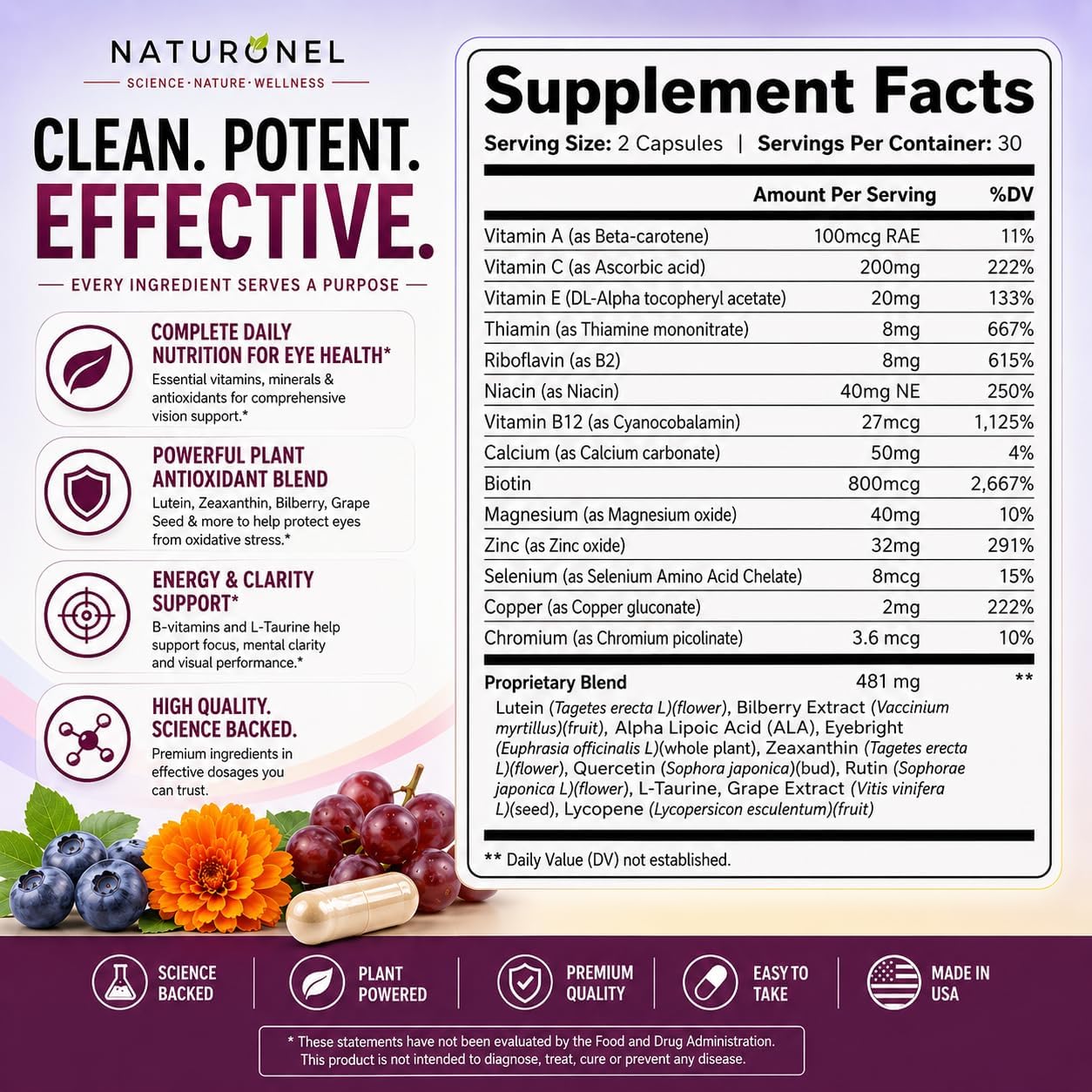 Provisine Vision Support Supplement (2 Bottles) Eye Vitamins with Lutein, Zeaxanthin, Bilberry, Eyebright, Alpha Lipoic Acid, Taurine, Vitamin A C E &amp; Zinc – Daily Eye Health Formula
