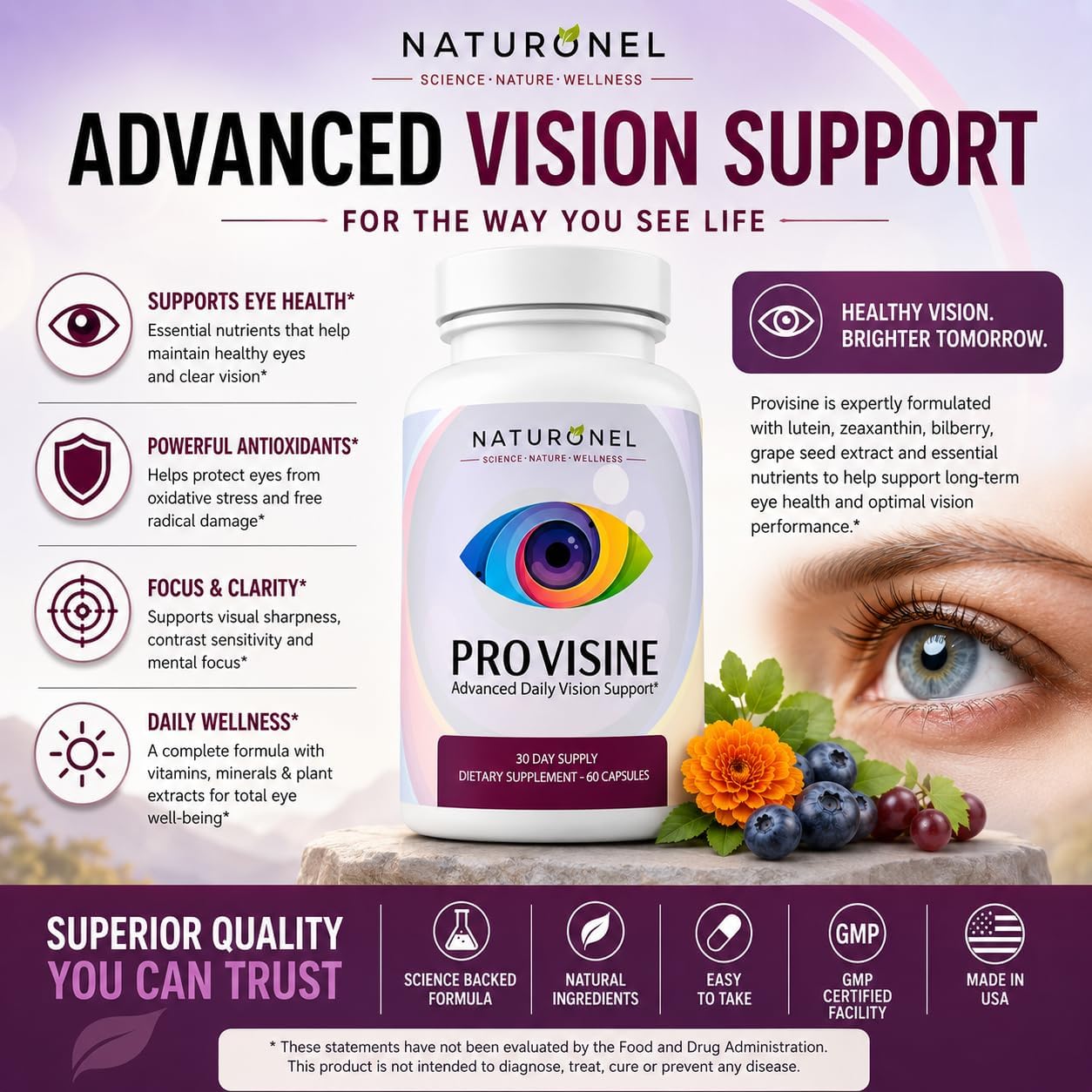 Provisine Vision Support Supplement (4 Bottles) Eye Vitamins with Lutein, Zeaxanthin, Bilberry, Eyebright, Alpha Lipoic Acid, Taurine, Vitamin A C E &amp; Zinc – Daily Eye Health Formula