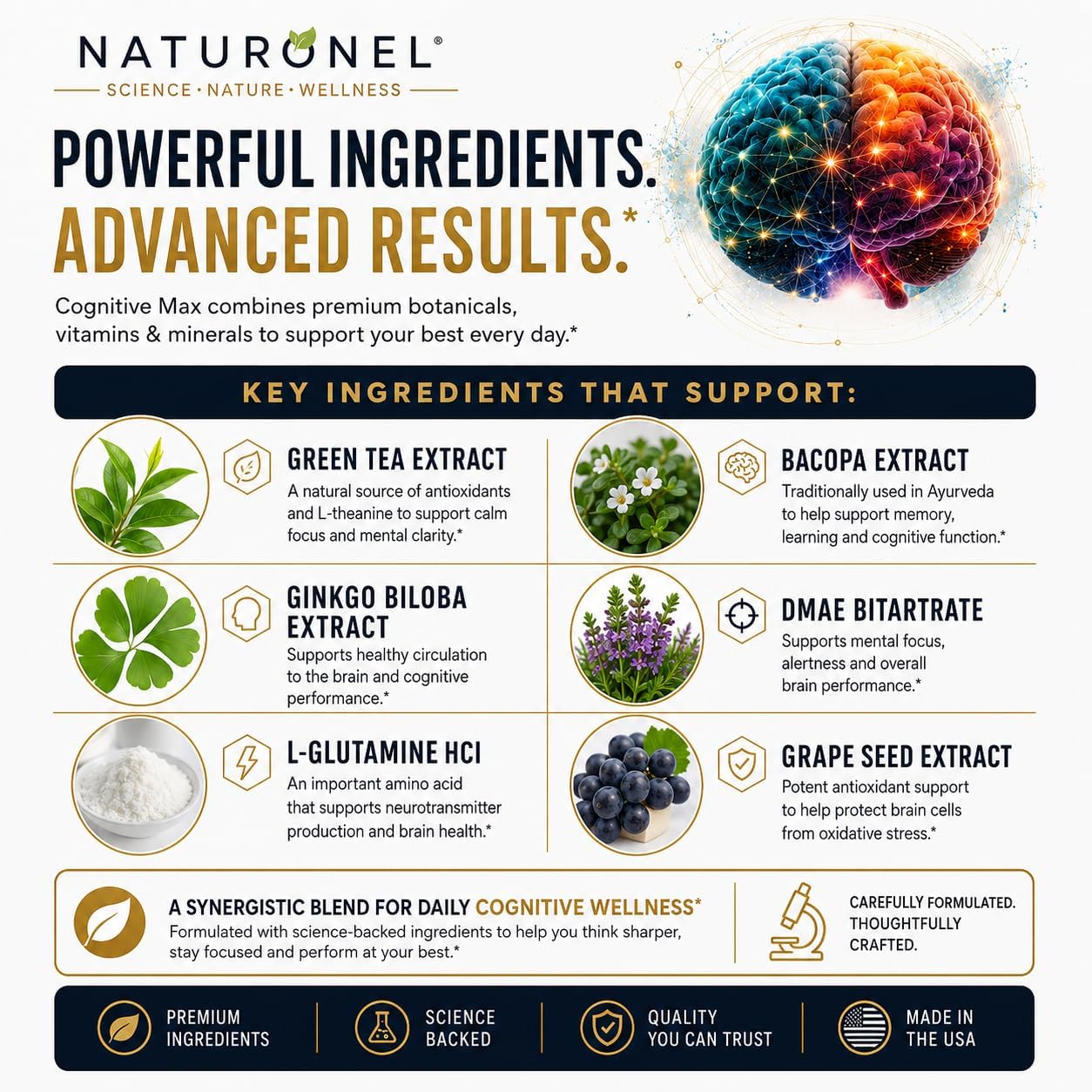 Cognitive Max Brain Supplement – Focus Supplement for Memory, Mental Clarity &amp; Brain Health Support – Nootropic Formula with DMAE, Bacopa &amp; Phosphatidylserine – 60 Capsules