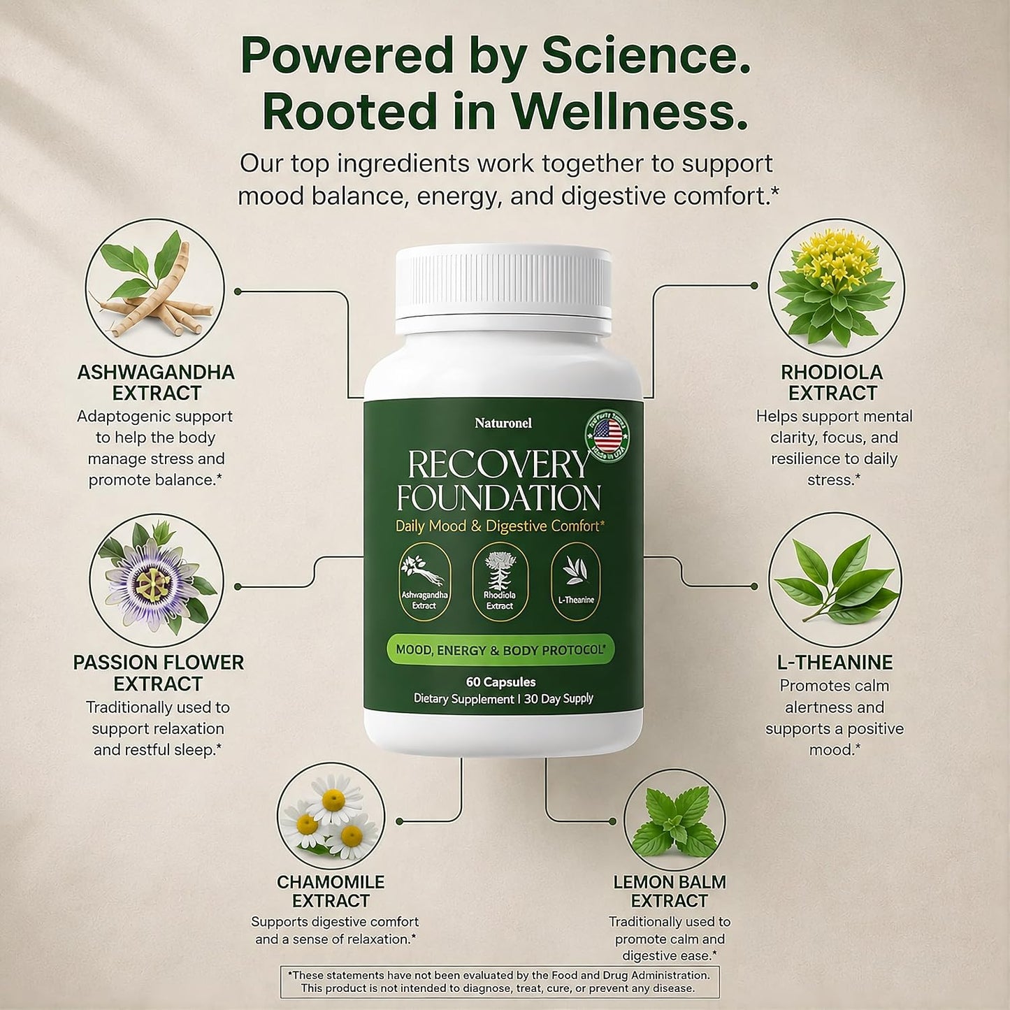 Zafira Organics Recovery Foundation Capsules (10 Bottles) Zafira Recovery Foundation Herbal Supplement for Mood Support, Mental Clarity &amp; Daily Wellness