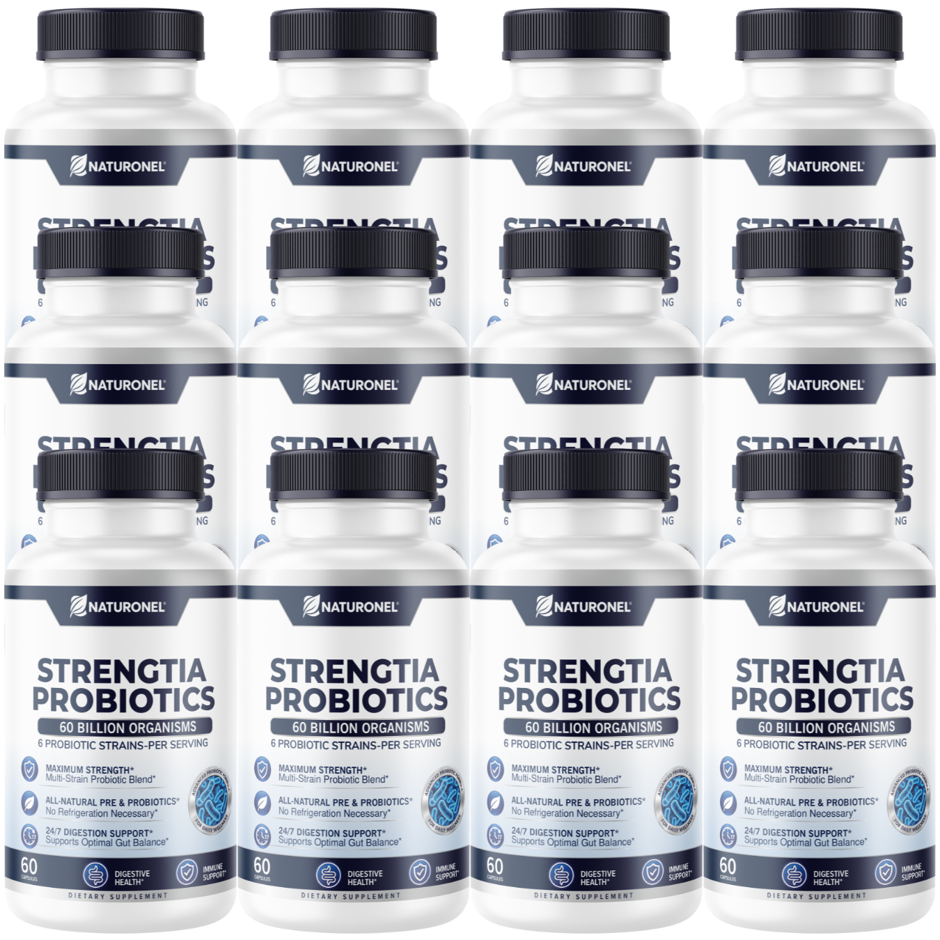 Strengtia (12 Pack) 60 Billion Probiotics – Daily Probiotic Supplement with 6 Clinically Selected Strains, Prebiotic Blend, Digestive & Immune Wellness