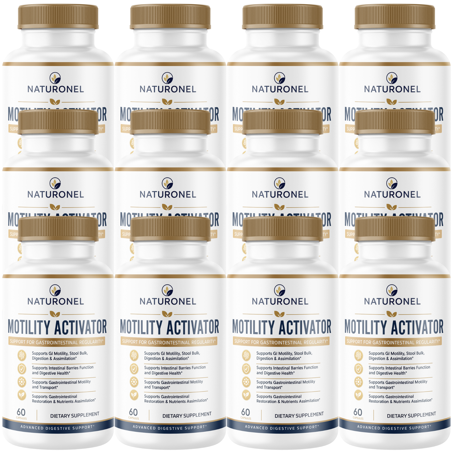 Motility Activator (12 Pack) Gut Health Supplement – Supports GI Motility, Digestive Regularity, Nutrient Assimilation & Intestinal Health with Probiotic and Botanicals