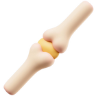 Bones & Musculoskeletal Health