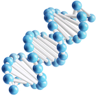 Cellular Health & Longevity